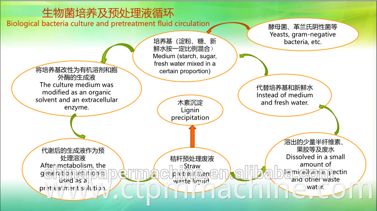 Cotton Straw Pulp Rice Straw Pulp